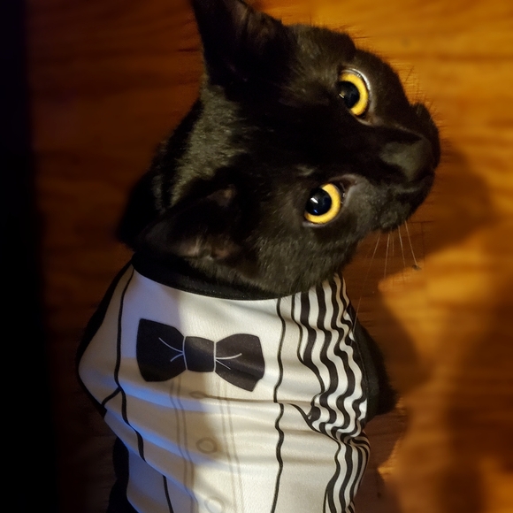 Hi! I'm pretty great! 😁 Nashville 🖤 - Picture 9 of 10